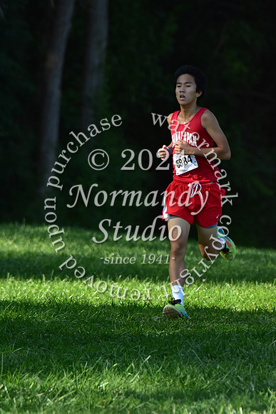 MNP_cc-g+b-j_14