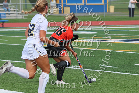 SVL_fh_32