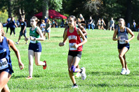 MNP_cc-g+b-j_08