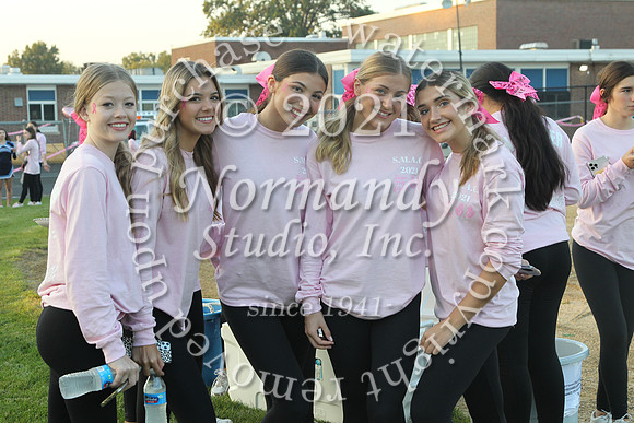 ALJ_65_pink-out