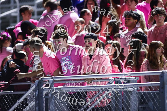 SPF_fans_14