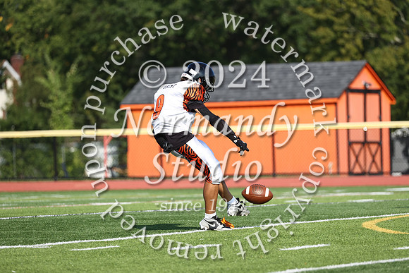 SVL_fb-f_50