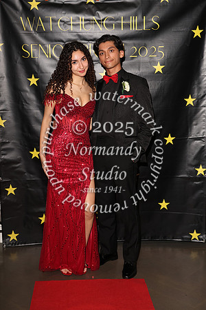 WTG_sr_prom_055