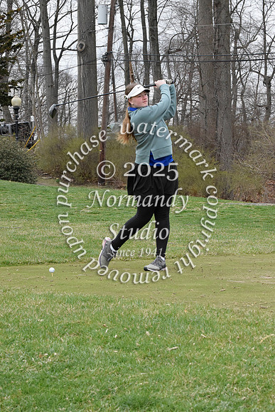 CHS_go-g_12