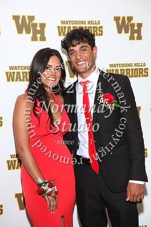 WTG_sr_prom_061
