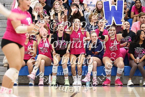 WHS_vb-pink out_30