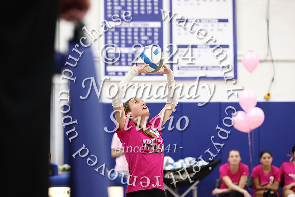 WHS_vb-pink out_63