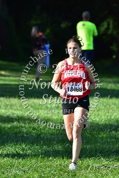 MNP_cc-g+b-j_25