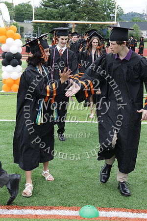 SVL_grad_053