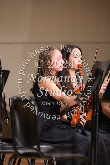 BER_orchestra_33