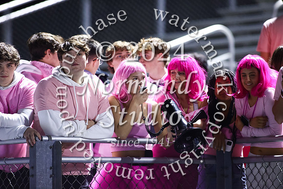 SPF_fans_52