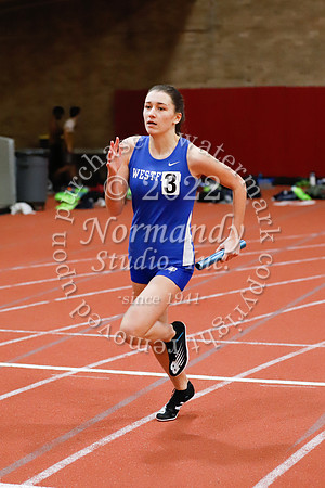 WHS_09_wt-g