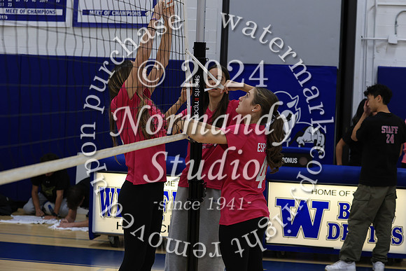 WHS_vb-game_03