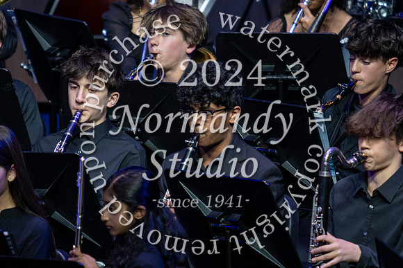 WTG_concert_32