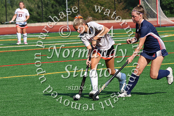 SVL_fh_09