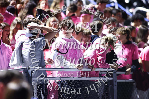 SPF_fans_43