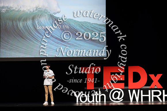 WTG_TEDx_046