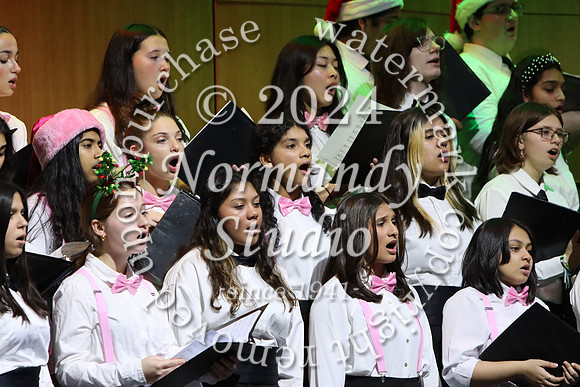 WTG_concert_62