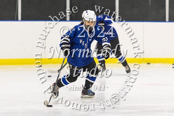WHS_ih-g_21