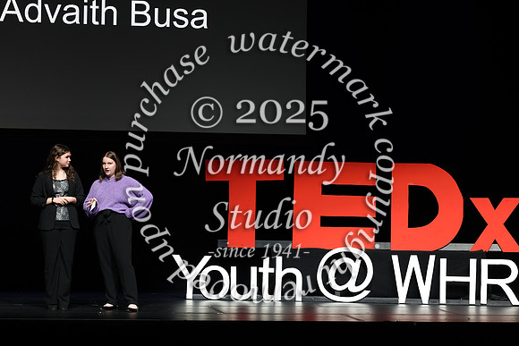 WTG_TEDx_005