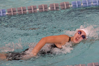 WHS_sw-g_06