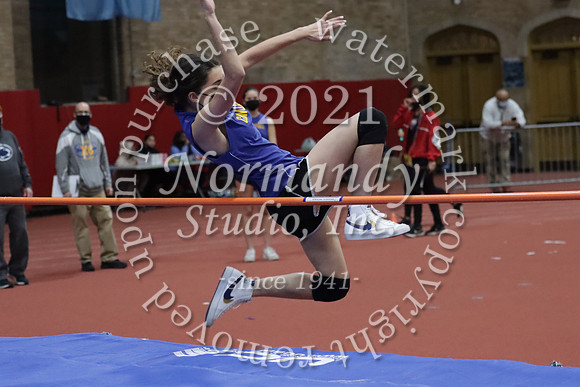 CHS_10_wt-g