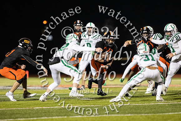 SVL_fb_31