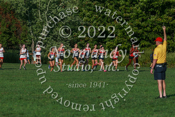 WMM_cc-g_18