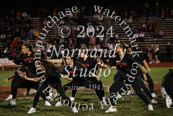 MNP_dt_23