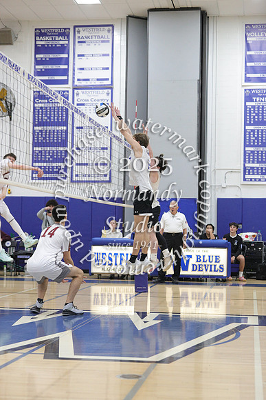 WHS_vb-b-v_39