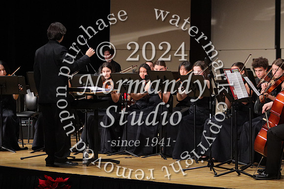 BER_orchestra_13
