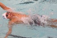 WHS_sw-b_10