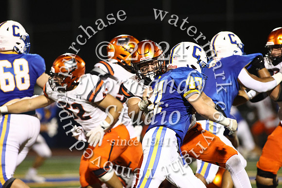 SVL_fb_29
