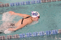 WHS_sw-g_10