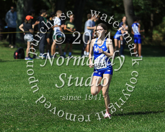 WHS_cc-g_26