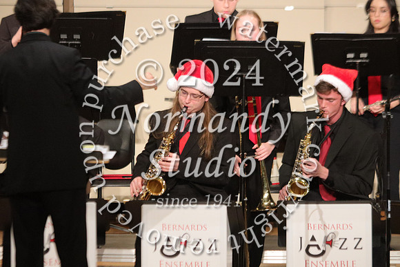 BER_orchestra_47