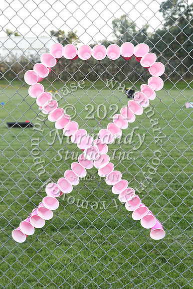 ALJ_52_pink-out