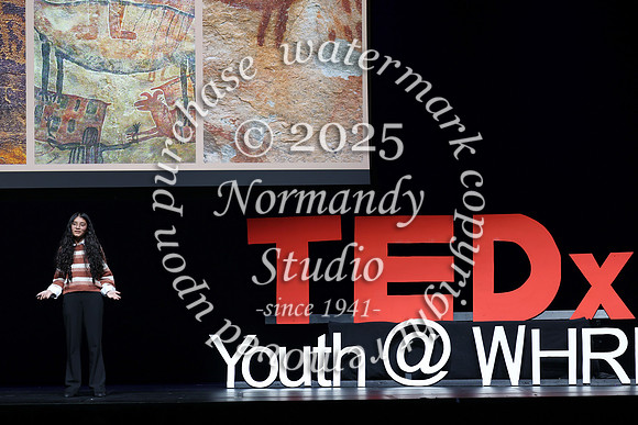 WTG_TEDx_055