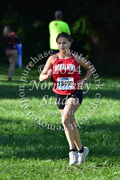 MNP_cc-g+b-j_24