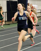WMC_15_wt-g