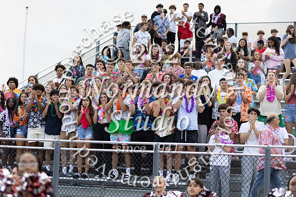 MAT_fans_07