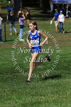 WHS_cc-g_04