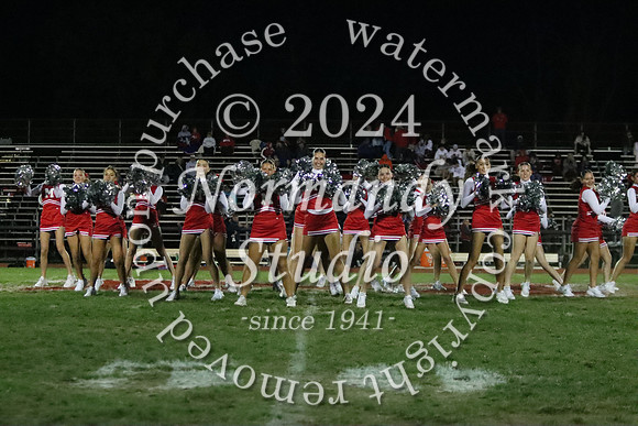 MNP_dt_29