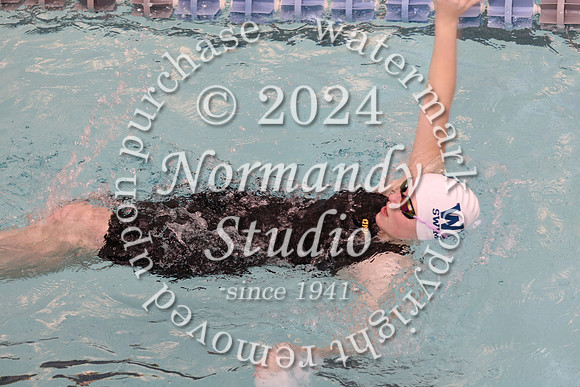 WHS_sw-g_45