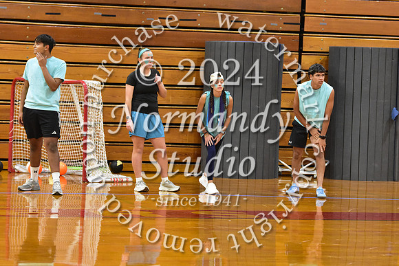 BER_dodgeball_55