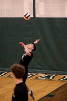 RAM_vb_008