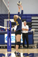 DVH_vb-g_10