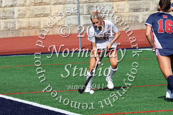 SVL_fh_34