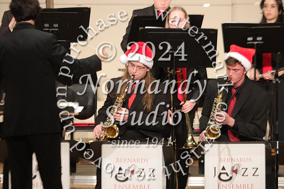 BER_orchestra_48