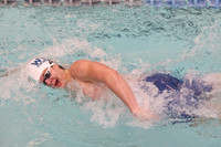WHS_sw-b_08